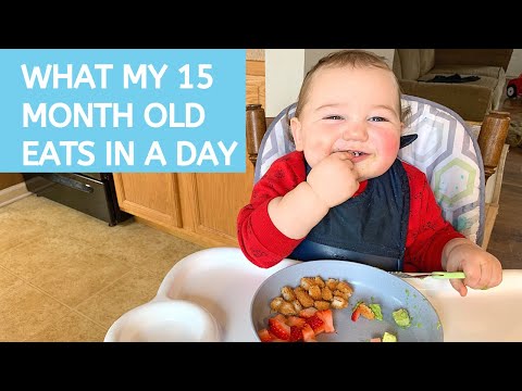 25+ Easy Toddler Lunch Ideas for Daycare - Pinecones & Pacifiers