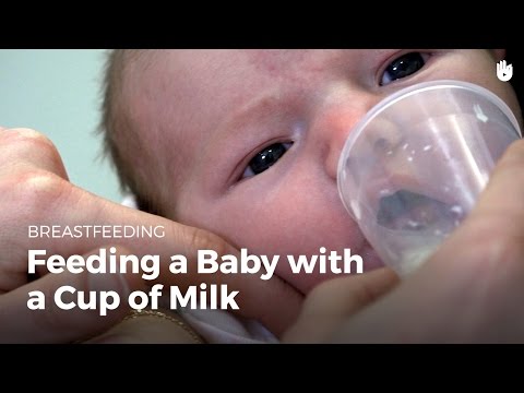 What is cup feeding a baby