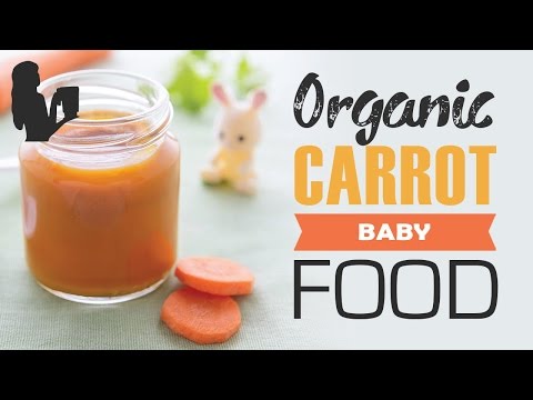 Best blender baby food making