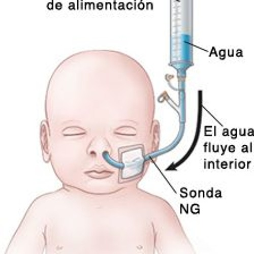 How often to feed a preemie baby