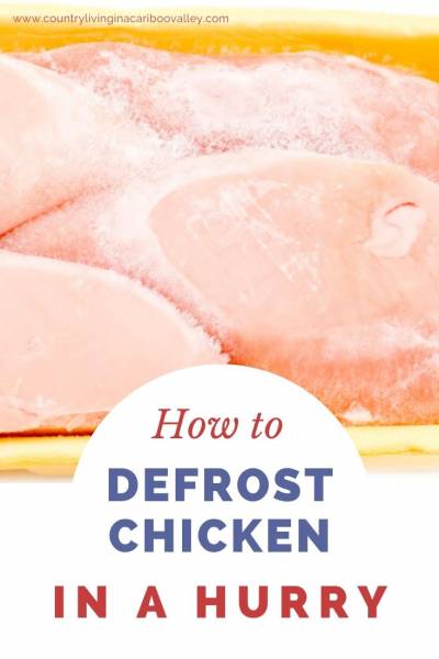 Defrost frozen baby food