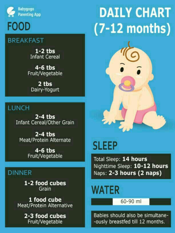 Food chart for 15 month old baby