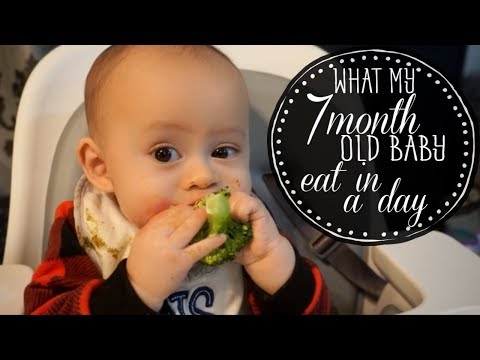 Baby food seven month old