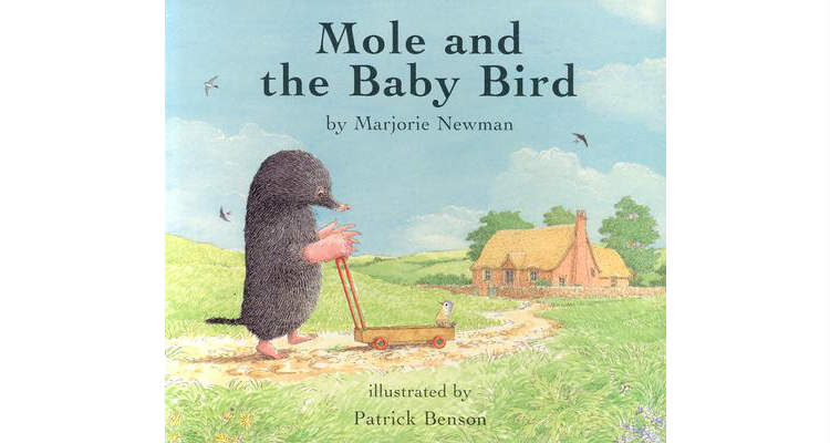 How to feed a baby mole