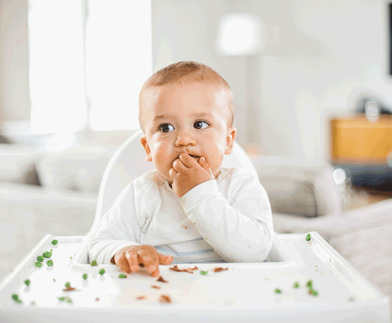 Babies eat solid foods