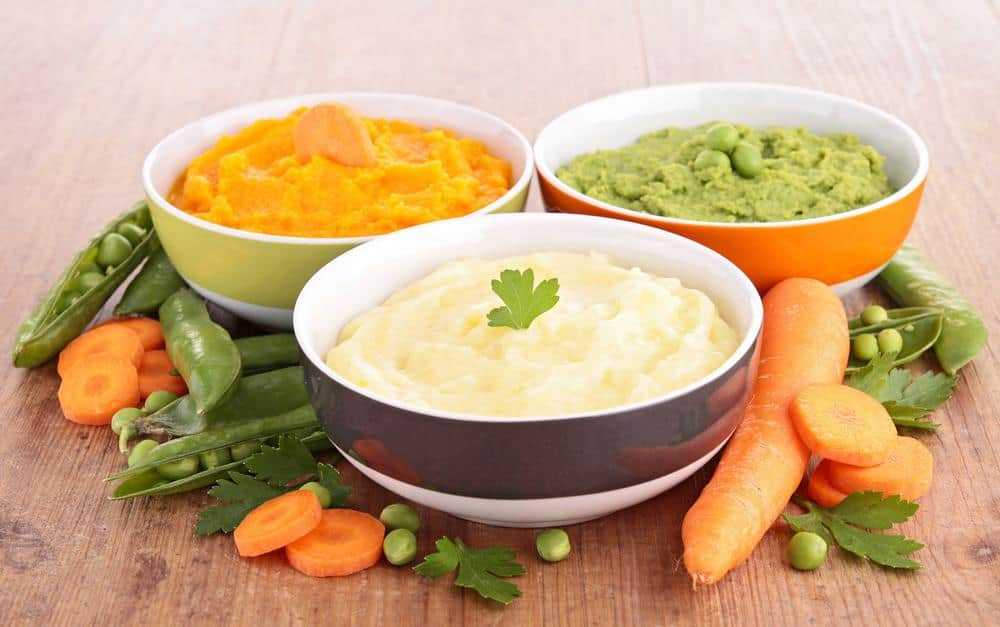 Best puree for baby food