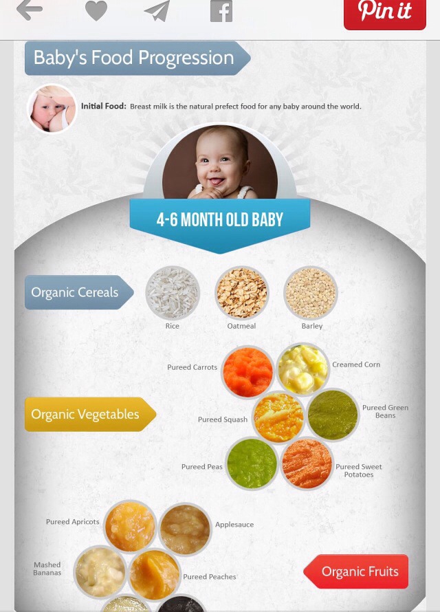 Six month old baby feeding guide